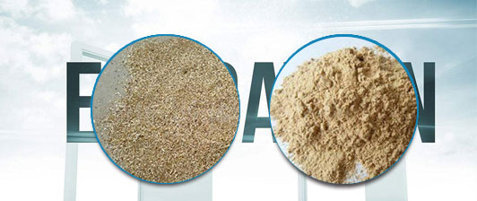 �sľ��